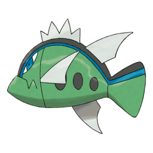 野蠻鱸魚(藍條紋的樣子)