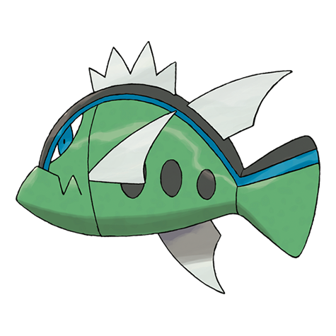 野蠻鱸魚（藍條紋的樣子）