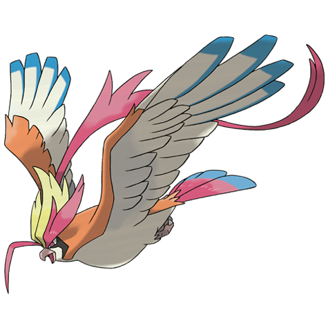 大比鳥（超級大比鳥）
