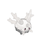 太陽珊瑚（伽勒爾的樣子）