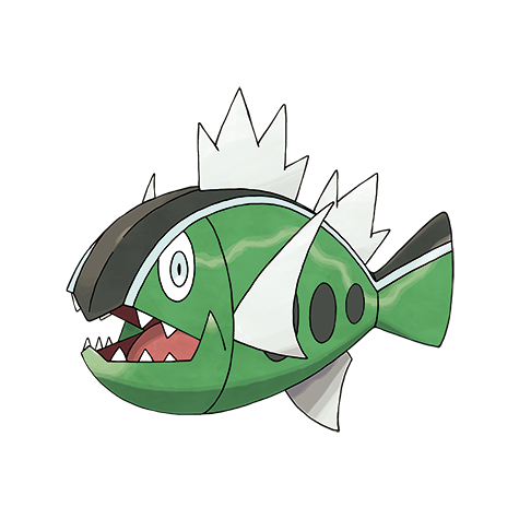 野蠻鱸魚