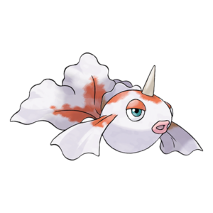 角金魚