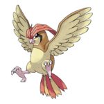 比比鳥