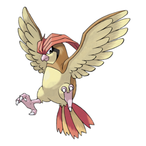 比比鳥
