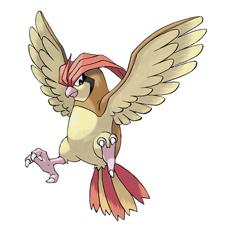 比比鳥
