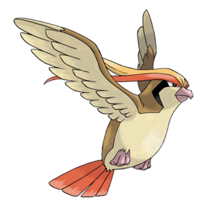 大比鳥