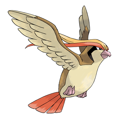 大比鳥