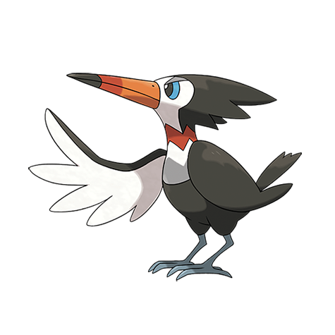 喇叭啄鳥