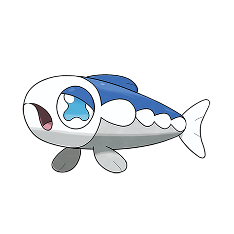 弱丁魚