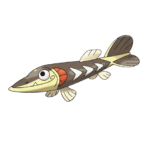 刺梭魚