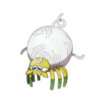 團珠蛛