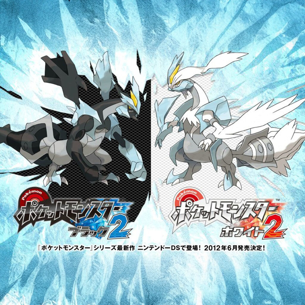 黑２／白２